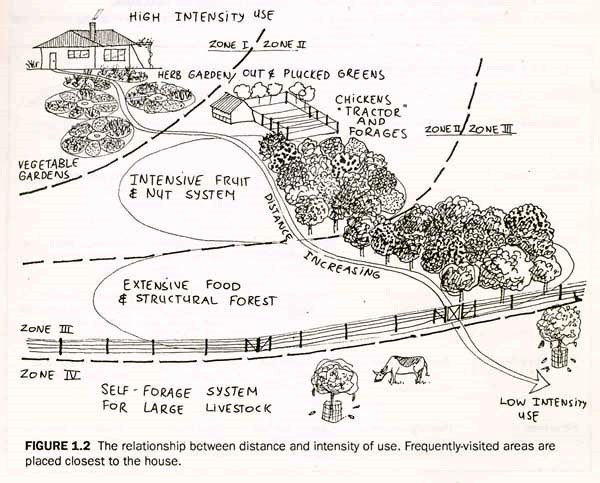 Permaculture Site Analysis